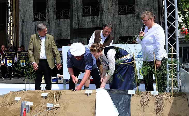 Spargelanstich mit Spargelschälmeister Helmut Zippner beim Traditionellen Spargelfest Schrobenhausen am 20.05.2023 (©Foto:Martin Schmitz)